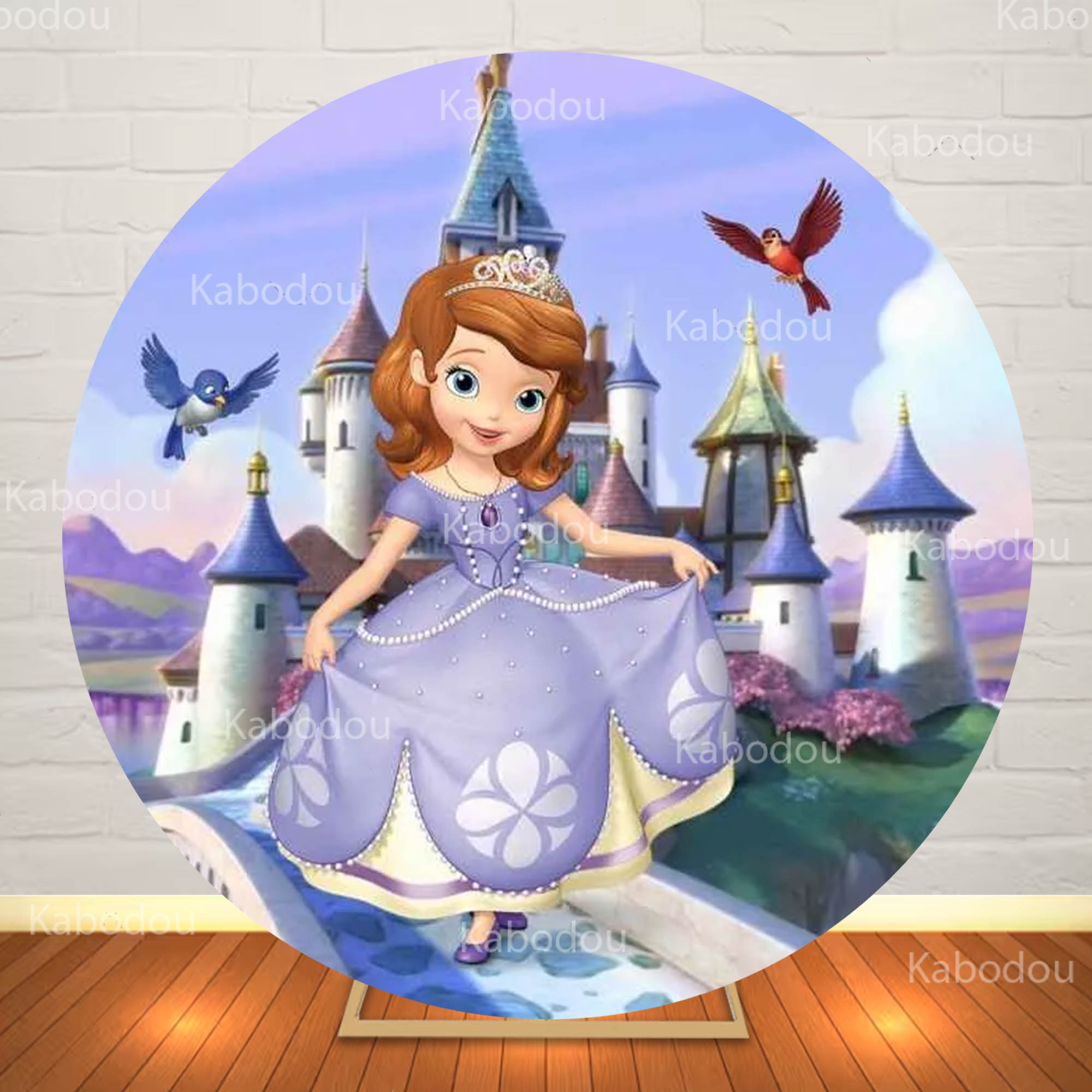 Sofia the First Round Backdrop – обзор и цена Photography Aesthetic