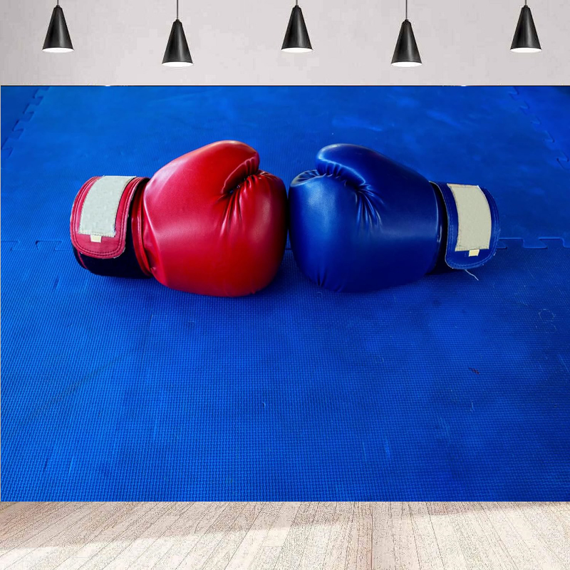 Boxing Gloves Photography Back – обзор и цена Photography Competition