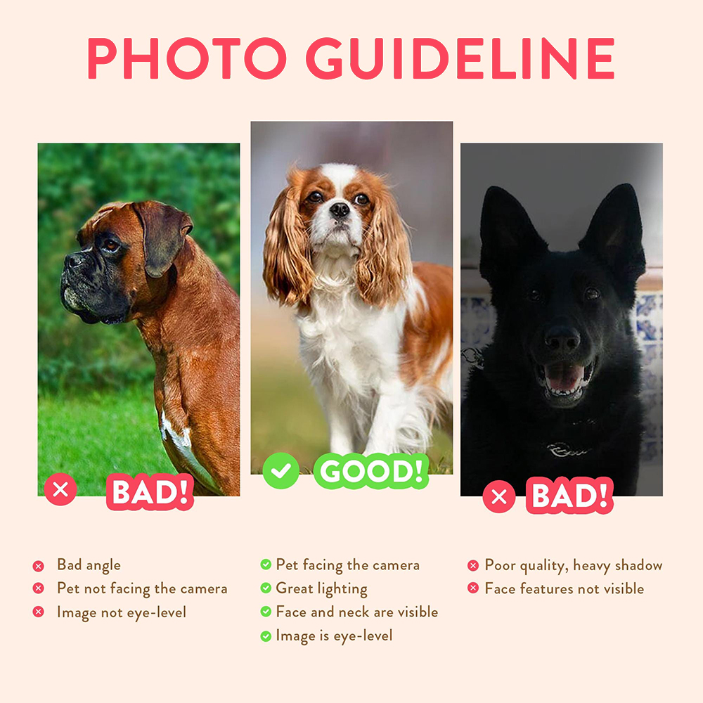 Personalized Pet Portraits Pho – обзор и цена Photograph Lyrics