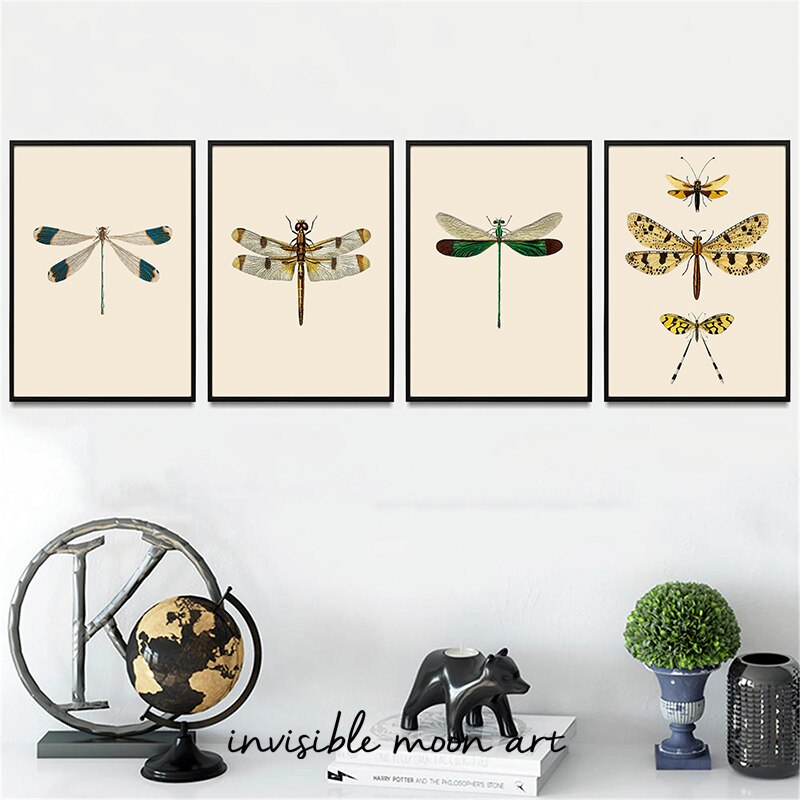 Vintage Dragonfly Natural Hist – обзор и цена Photography History