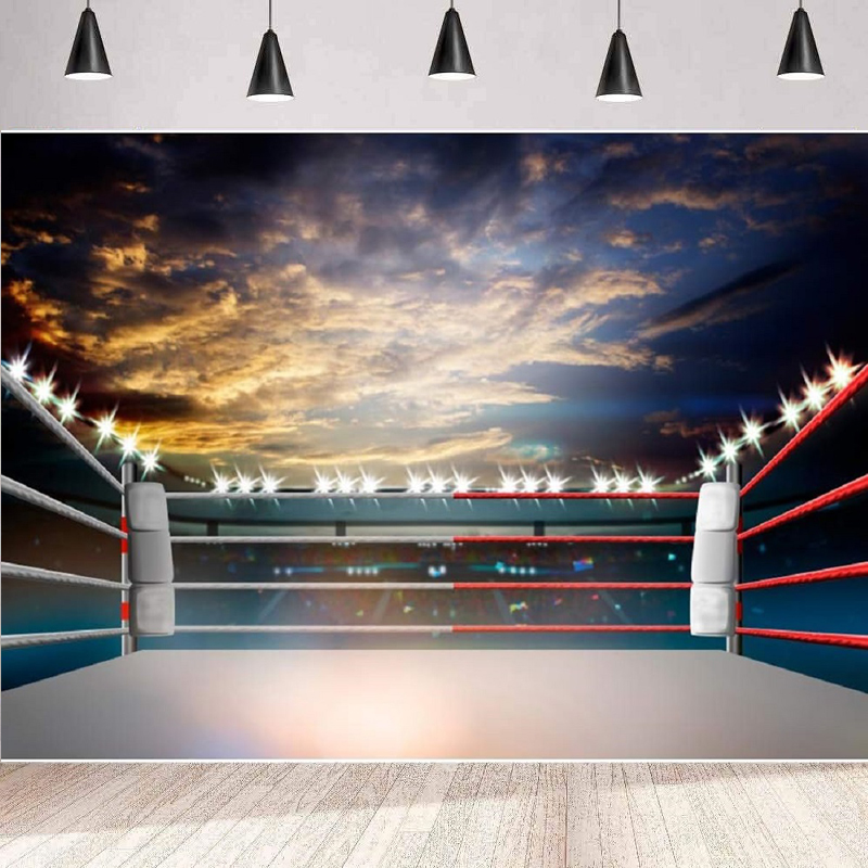 Lighting 3D Boxing Arena Photo – обзор и цена Photography Competition